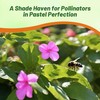 Outsidepride Xtreme Pastel Mix Impatiens Flower Seeds - 75 Pcs