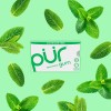 PUR Sugar Free Spearmint Chewing Gum 9 Count Pack Aspartame