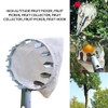 Omninmo Metal Fruit Picker Head Basket Diameter 150mm High Place