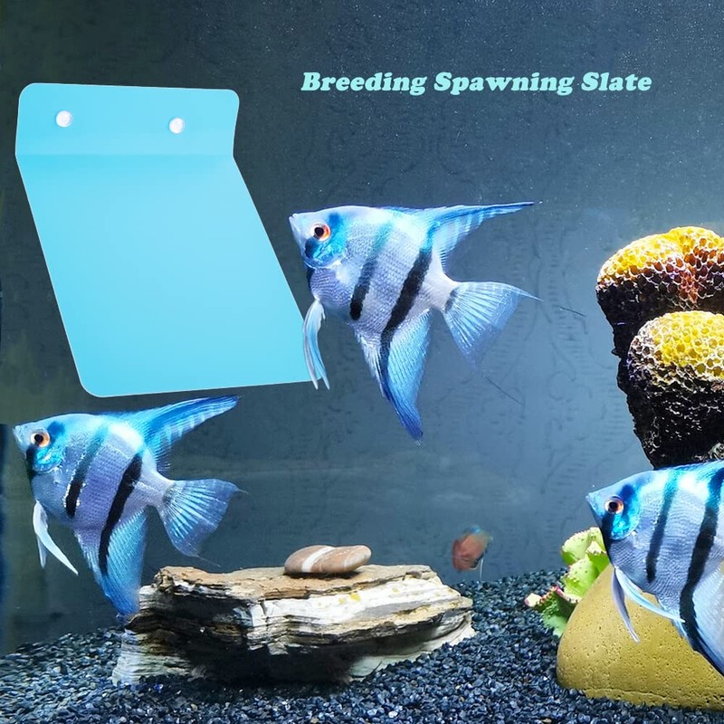 2 Pack Angelfish Discus Breeding Slate, Fish Breeding Spawning Slate