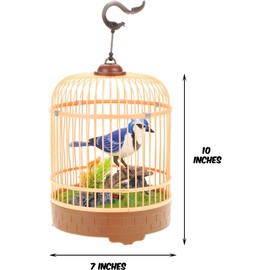 PowerTRC Singing & Chirping Bird in Cage, Realistic Sounds & Movements, Sound Activated, Battery Operated, Great Desk and Room Accessory, Pet Caged Bird Toy (10” x 7”)