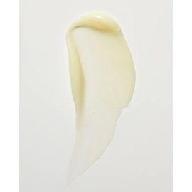 MARA - Natural Sea Silk Lip Balm With Algae + Moringa | Non-Toxic, Plant-Based Skin Care, Hypoallergenic | Moisturize, Plump + Soothe Dry, Chapped Lips (Clear, 0.5 oz | 15 ml)