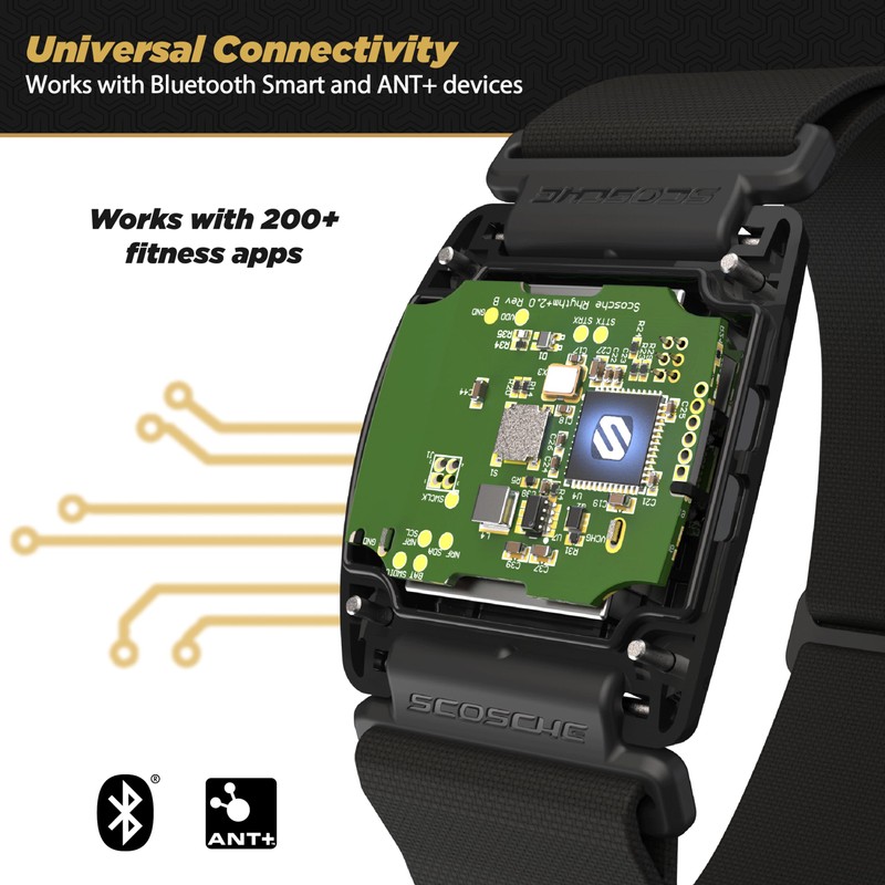 Scosche Rhythm+ 2.0 Heart Rate Monitor Armband for Running, Cycling,