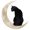 Jetcloud Wall Decor Black Cat and Moon Metal, Hanging Modern