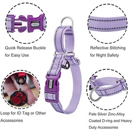 Petiry Martingale Collar Reflective Nylon Collar with Safety Quick Release Buckle,Escape-Proof Anti-Pull for Small Medium and Heavy Duty Dogs(Lilac,L)