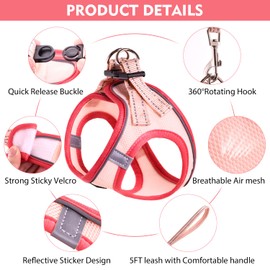 Betmaypet Cat Harness and Leash Set, Soft and Breathable Vest with Reflective Strip, Escape Proof Kitten Harness, Easy to Wear for Cats Walking and Traveling (Purple, S)