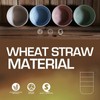 AIMALL 4pcs Wheat Straw Bowl Set, Shatter-Resistant Plastic Noodle &