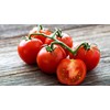 Floraline floraline® | 30x Tomaten - Düngestäbchen | pro Stäbchen: