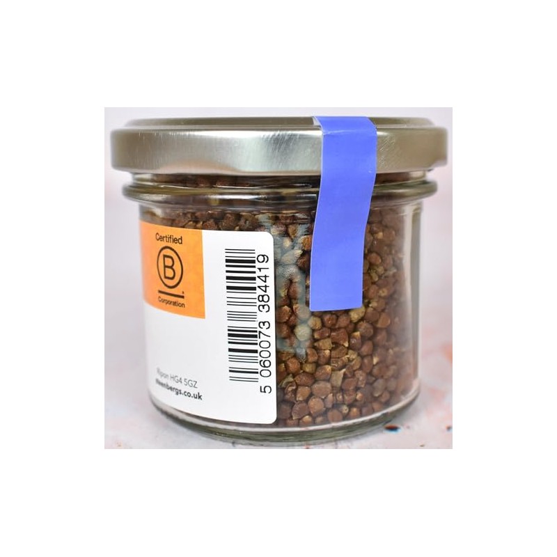 Steenbergs Grains Of Paradise Spice Standard Jar - 60g