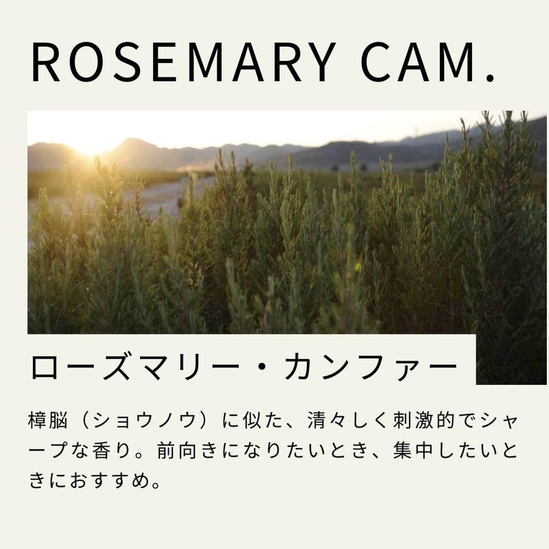 Life Tree Rosemary Camphor Essential Oil 10ml Essential Oil Aroma