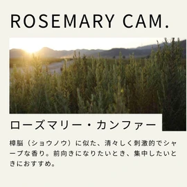 Life Tree Rosemary Camphor Essential Oil 10ml Essential Oil Aroma Oil