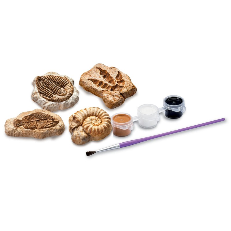 4M Glow Fossil Science Kit
