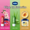Vaseline Lip Therapy Advanced Healing, Creme Brulee, 0.25 oz, Pack