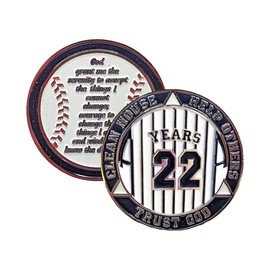 22 Year AA Medallion Pinstripe Yearly Alcoholics Anonymous chip w/Coin Holder