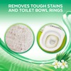 Lysol Cling Gel Toilet Bowl Cleaner, Country Scent, 24 Ounce