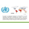 CLEANJAHVS Repelente Para Insectos De Amplio Espectro 100% Natural