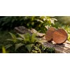 Walnut Wood Car Air Freshener Vent Clip Set, 2 Diffusers