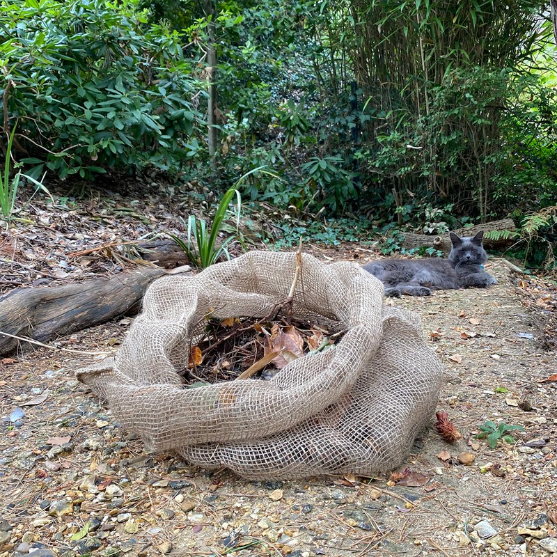 Selections Compostable Leaf Sacks Bags (Pack of 30)