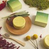 Organic Exfoliating Bars of Soap, Natural Ingredients, Assorted Scents, Icelandic