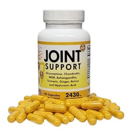 Main Products Glucosamine Chondroitin MSM Hyaluronic Acid Ashwagandha Turmeric Ginger Arnica - 2430mg Joint Support Supplement, Micronized, 90 Capsules.