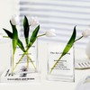 Aoderun Book Vase for Flowers Clear Glass Vase for Book