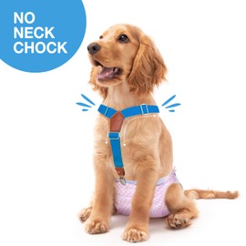 Pet Soft Dog Suspenders 2 Pieces Female Dog Diaper Suspenders for Dogs Diaper Keeper Suspender for Doggy Skirt, Dress, Diapers (Gold & Blue, XS/S)