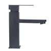 Basin Faucet Stainless Steel Surface Black Baking Paint Bathroom Sink