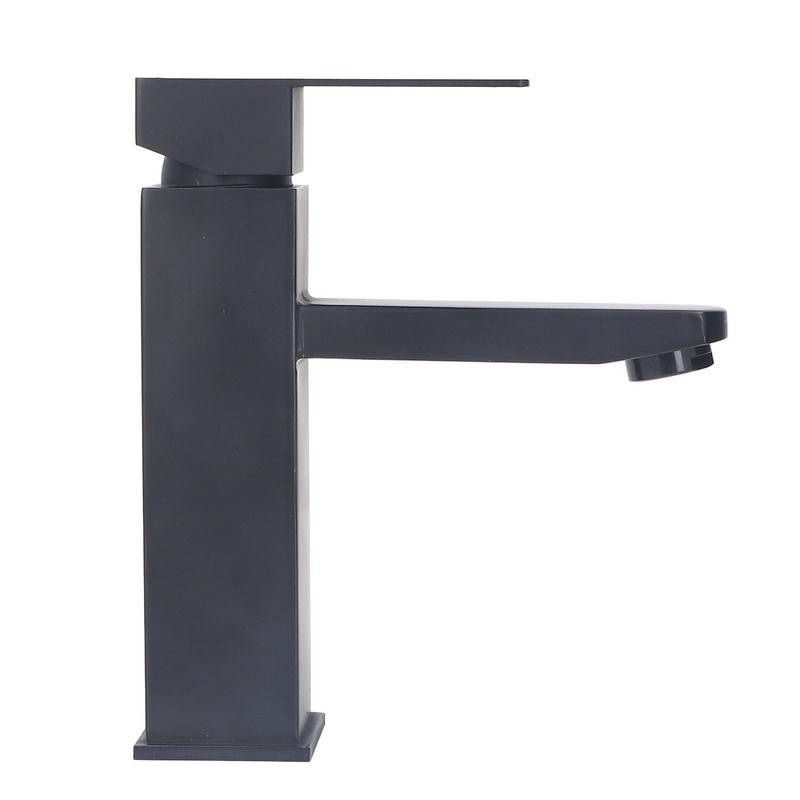 Basin Faucet Stainless Steel Surface Black Baking Paint Bathroom Sink