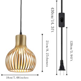 RAYMALUX Plug in Pendant Hanging Light,Industrial Gold Metal Vintage Hanging Lamp Fixture with 14.3 FT Cord and ON/Off Switch for Kitchen Lighting,Bedroom,Living Room