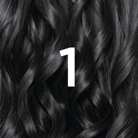 Garnier Nutrisse Permanent Hair Dye, Natural-looking, hair colour result, For All Hair Types, 1 Black