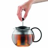 Bodum 34oz Assam Glass Tea Press with Stainless Steel Filter,