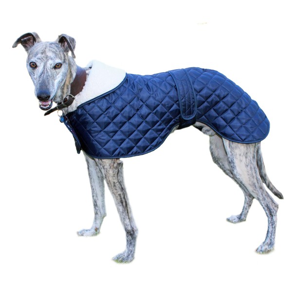 Cosipet Greyhound Anorak, Blue