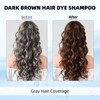 Ivnil Dark Brown Hair Dye Shampoo 3 in 1 for