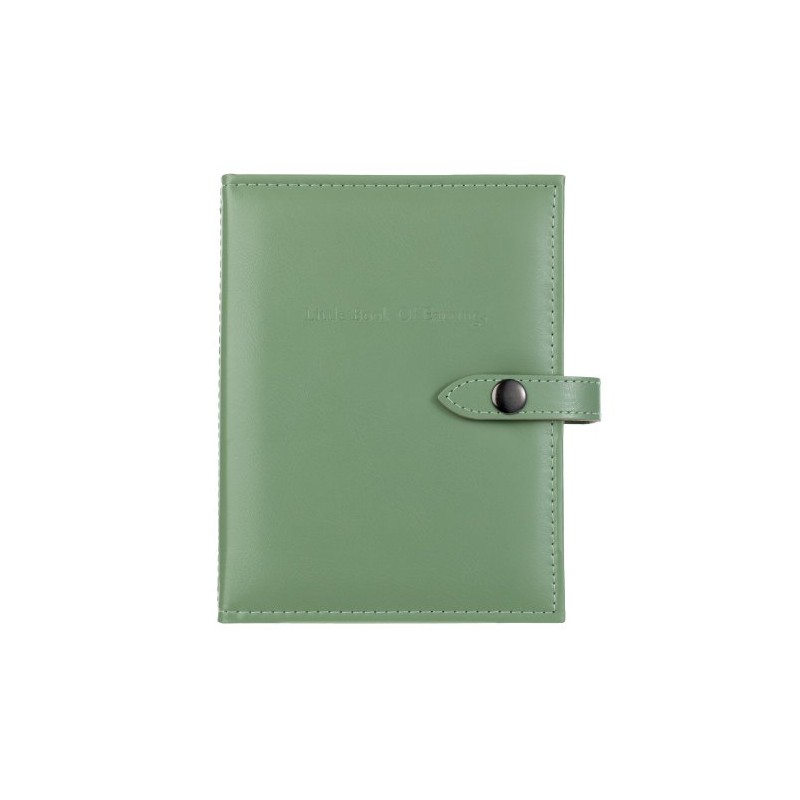 The Little Book Of Earrings in Green