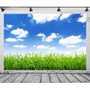 Loccor Fabric 6x4ft Blue Sky Backdrop Spring Green Field Beautiful