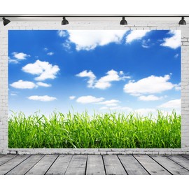 Loccor Fabric 6x4ft Blue Sky Backdrop Spring Green Field Beautiful Blue Sky Photography Background Outdoor Nature Scenery Easter Decoration Kid Baby Adult Boy Girl Artistic Portrait Photo Studio Props