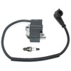 Ignition Coil Module With Spark Plug CMR6H For Stihl MS201