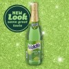 Welch's Sparkling White Grape Juice – 25.4 fl oz Bottle,