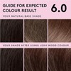 Josh Wood Permanent Colour 6.0 (Light Brown) Celebrity-approved ammonia-free -