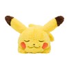 Pokemon Center Original Plush Toy, Everyone's Otakesama, Sleeping Pikachu