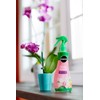 Scotts Ready-To-Use Orchid Plant Food Mist, 8 oz., Orchid Food