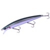 DUO Lure Lance Tido Minnow Lure, Hokkaido Limited, 110S Santan