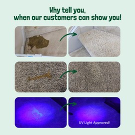 Sunny & Honey Carpet Cleaner Enzyme Pet Stain & Odor Remover - 128 Fl Oz, Spring Mint - Pet Urine Remover & Upholstery Cleaner Solution
