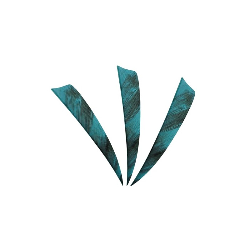 XXRRP ARCHERY 25 Pack 4 Inch Shield Cut Vanes Archery