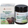 Naturhof Marmot Ointment (1 x 100 ml)