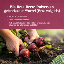NaturaleBio Beetroot Powder 450 g, Organic Beetroot Powder from Dried Root, Rich in Nitrates and Betalaines, for Daily Use, Vegan and Gluten-Free Diet