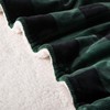 Elegant Comfort Luxury Ultra-Plush Velvet Touch Buffalo Plaid Fleece Throw