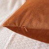 Artscope Luxury Velvet Cushion Covers Super Soft Decorative Throw Pillow