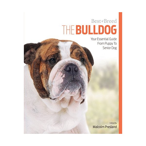 The Bulldog: Your Essential Guide From Puppy To Senior Dog