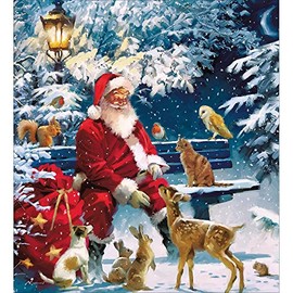 Woodmansterne Artistic Charity Christmas Cards - Father Christmas & Animals - Eco-Friendly & Recyclable - Pack of 5 Cards